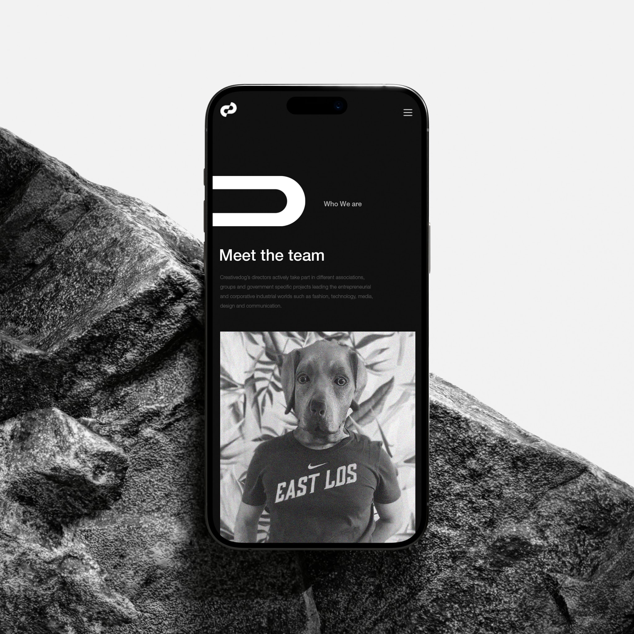 The website's team page on a phone, resting on a rock
