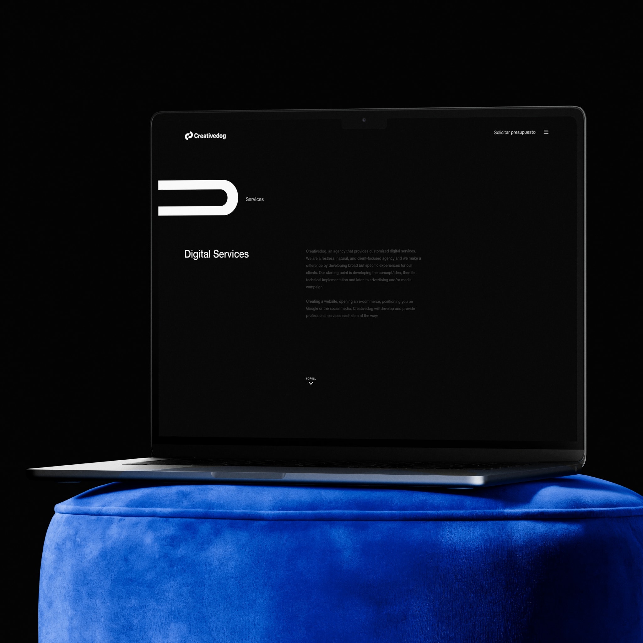 The digital services page on a laptop, on a blue velvet stool