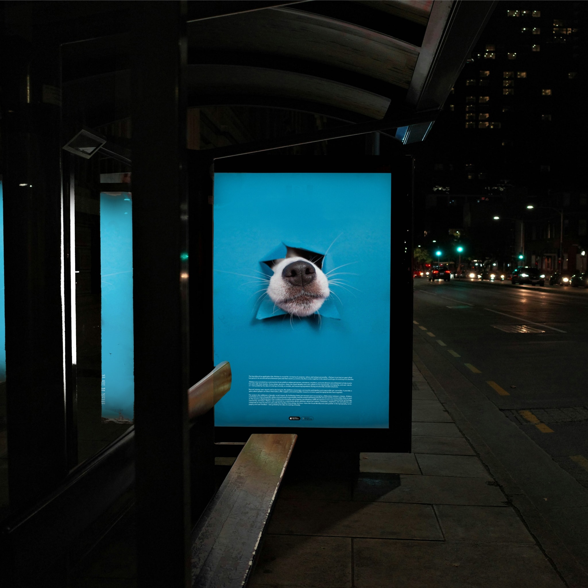 A Patitas poster at a bus stop at night: a dog's nose through blue paper