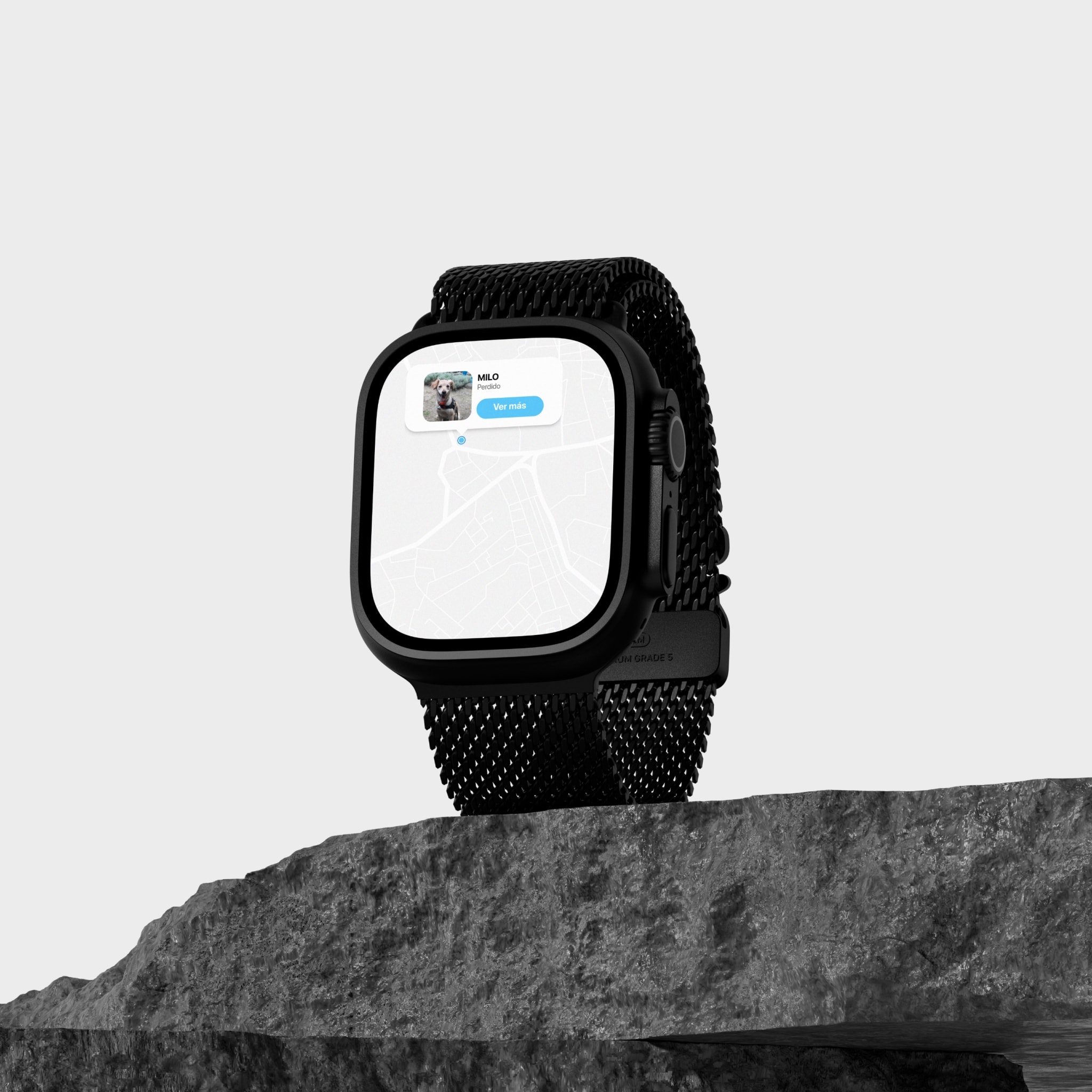 The app on a smartwatch, on a rock