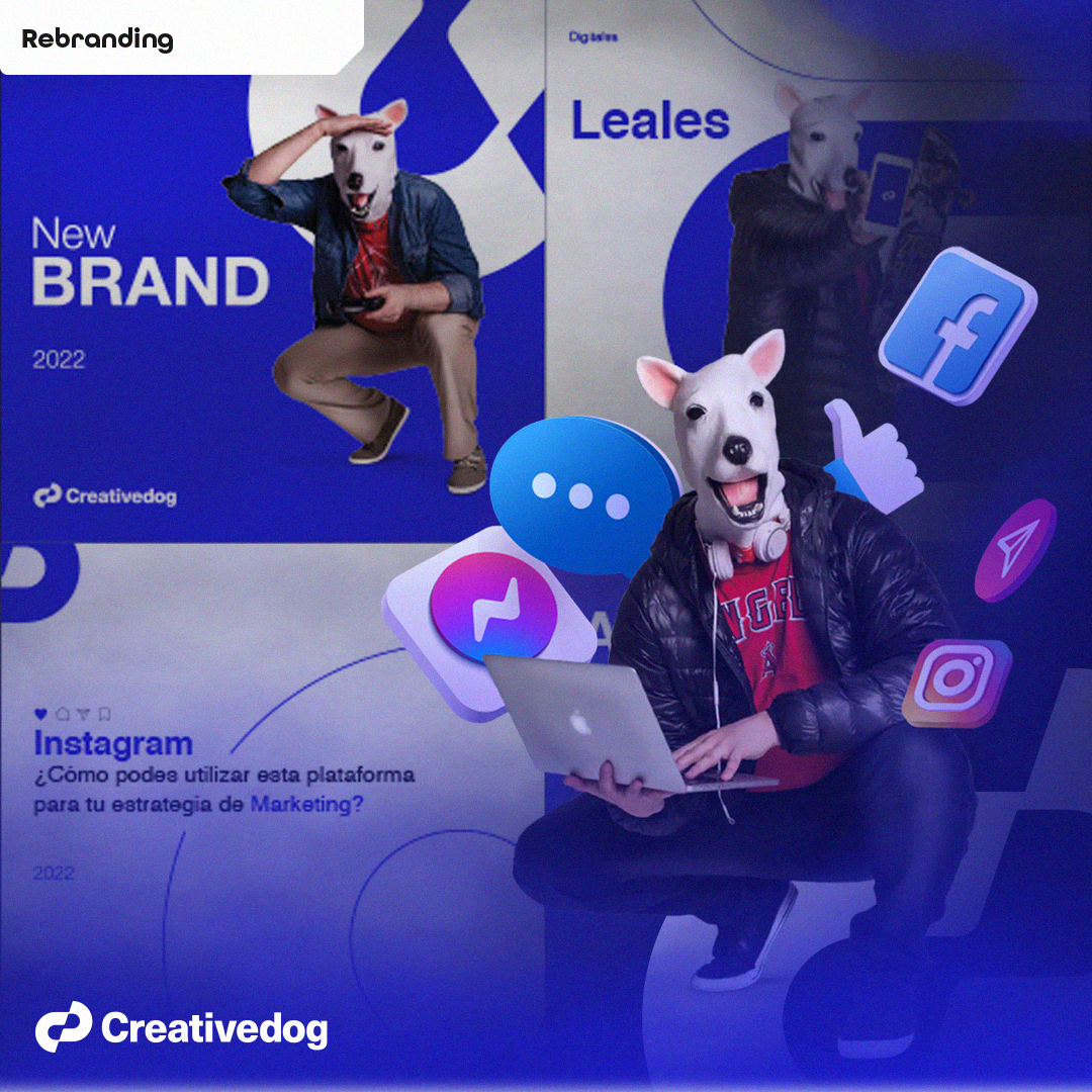 Creativedog